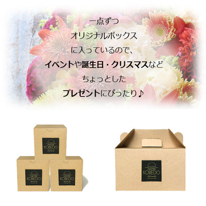 日本製 帽子 専門店 KOBEDOG コットン ドッグ キャップ UVケア おしゃれ 犬服　犬用品 ウェア 紫外線防止 夏バテ防止 日除 ワンちゃん帽子 ペット服 被り物 犬用 介護犬